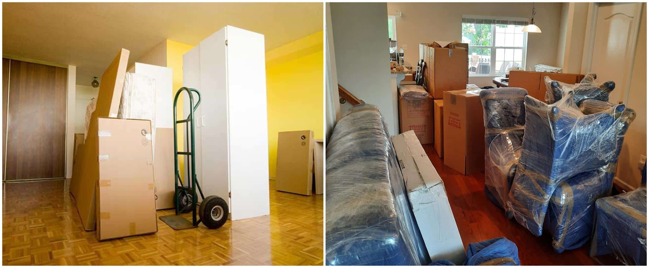 Top-rated Senior Moving Services in Nanjemoy